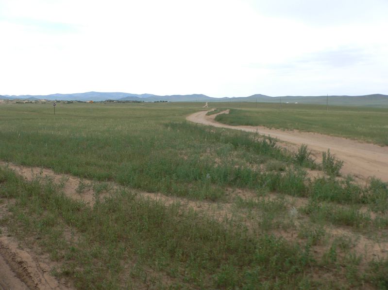 on the Way to Hustai National Park