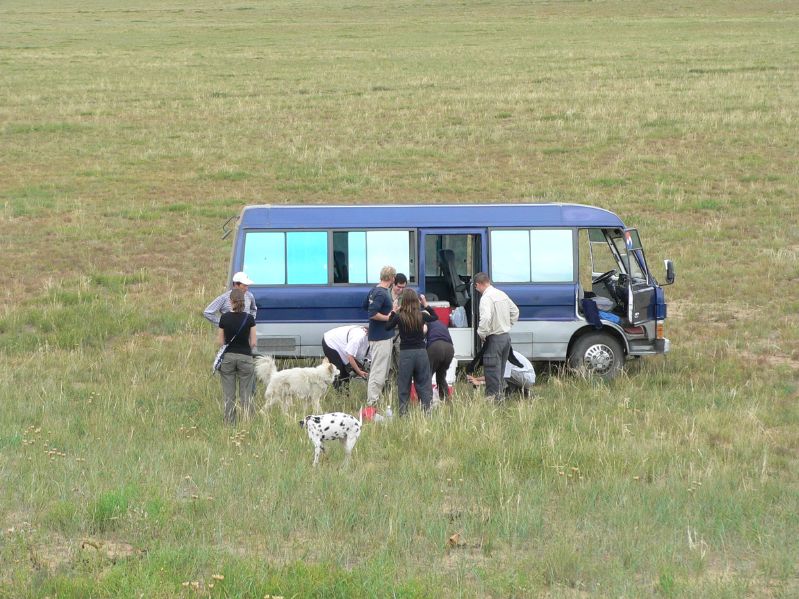 on the Way to Hustai National Park