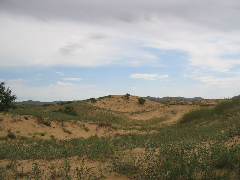 on the Way to Hustai National Park
