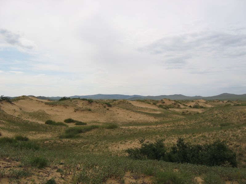 on the Way to Hustai National Park