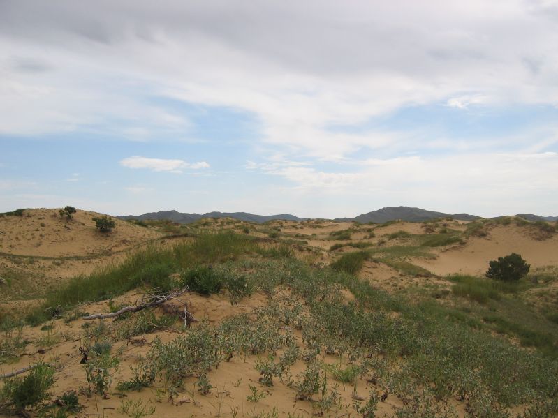 on the Way to Hustai National Park