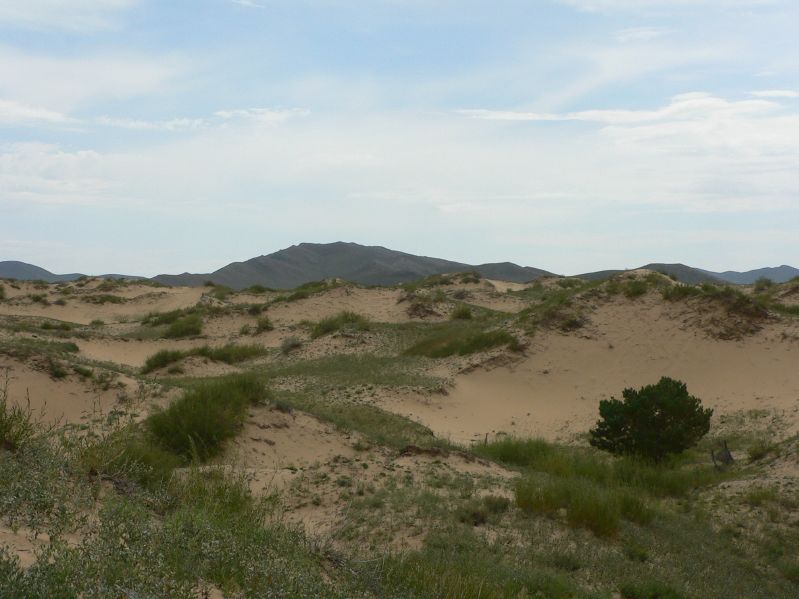 on the Way to Hustai National Park