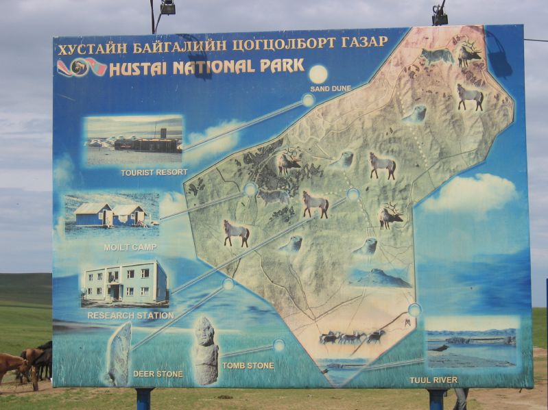 Hustai National Park: Tourist Camp