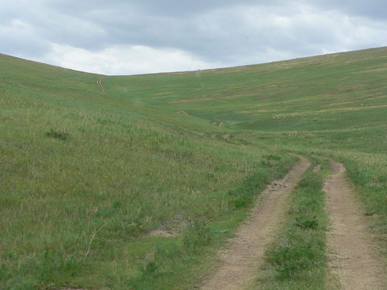 Hustai National Park