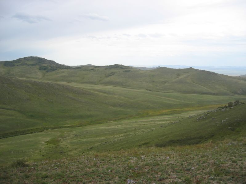 Molt Camp: The first hike