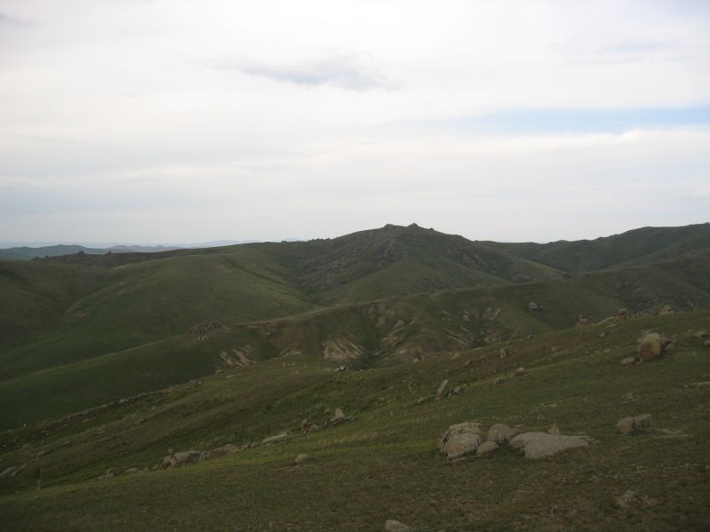 Molt Camp: The first hike