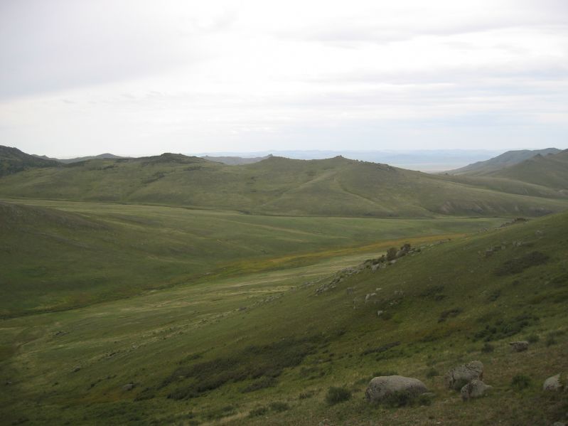Molt Camp: The first hike