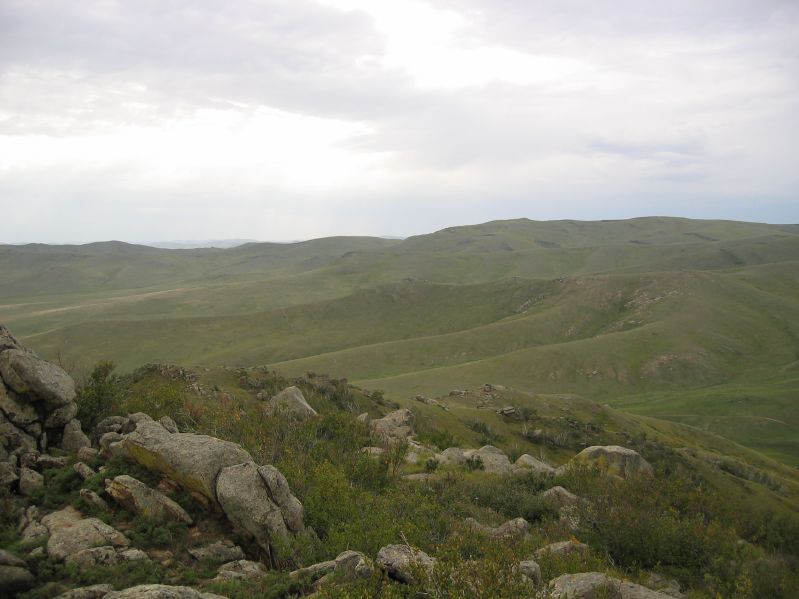 Molt Camp: The first hike