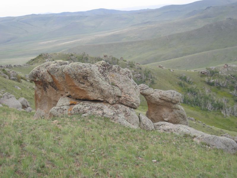 Molt Camp: The first hike