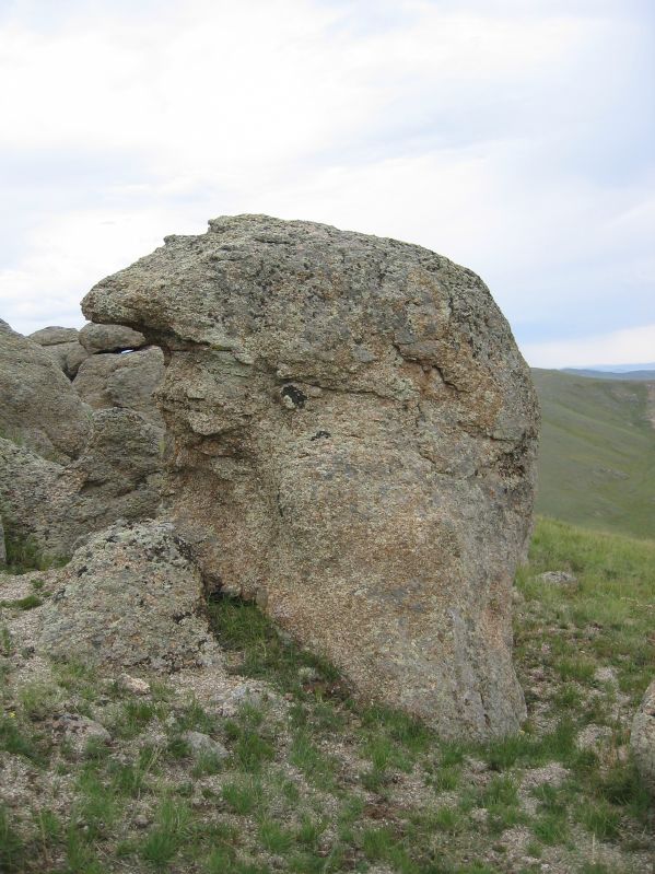 Molt Camp: The first hike