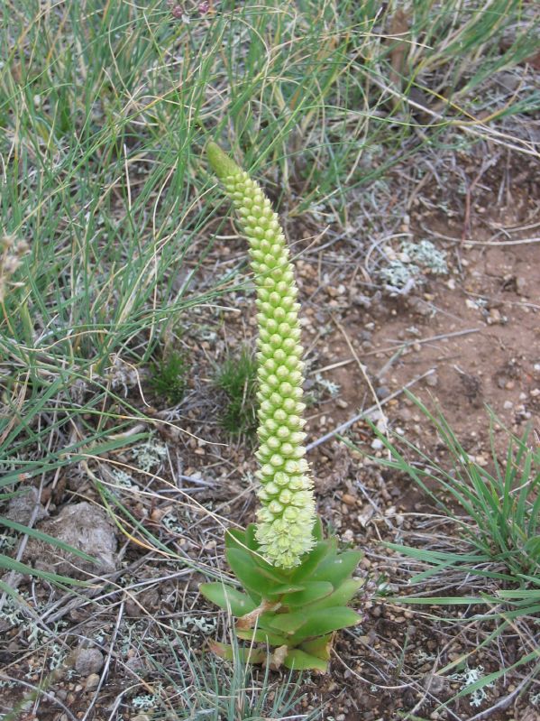 Molt Camp: The first hike