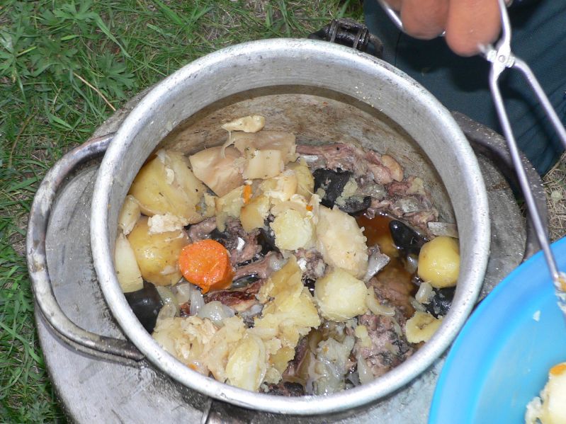 Molt Camp: Dinner