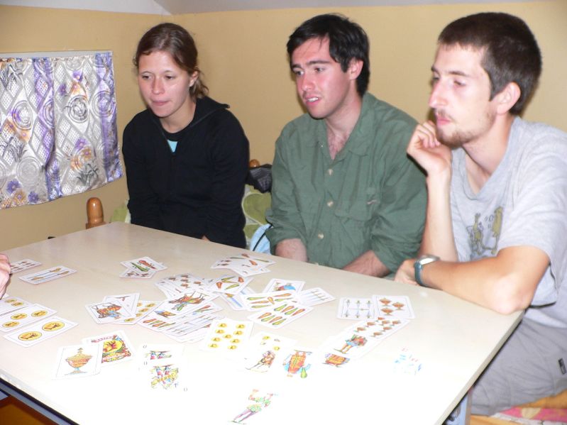 Molt Camp: Playing Cards