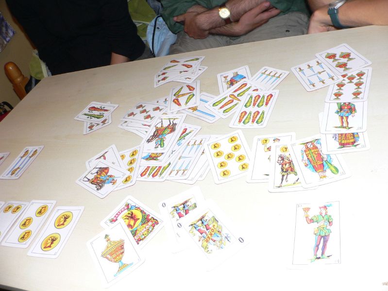 Molt Camp: Playing Cards
