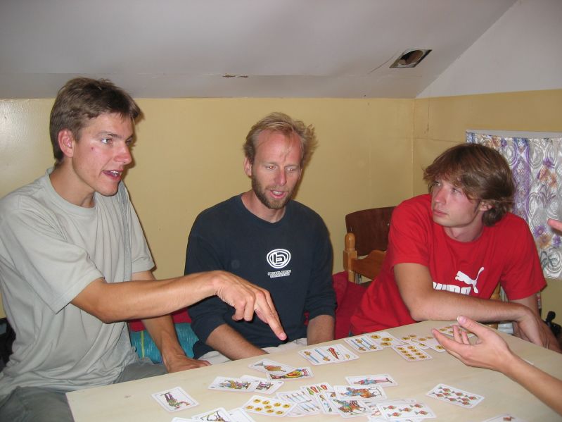 Molt Camp: Playing Cards