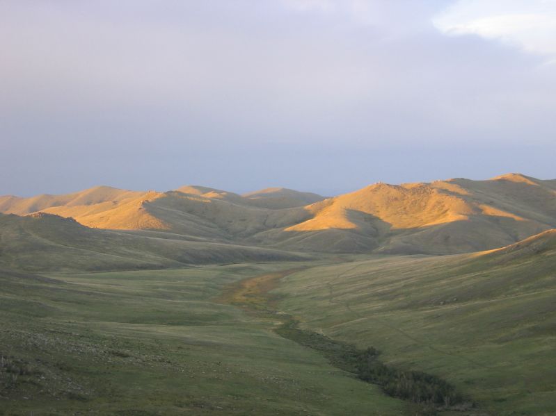 Molt Camp: Early Morning Hike