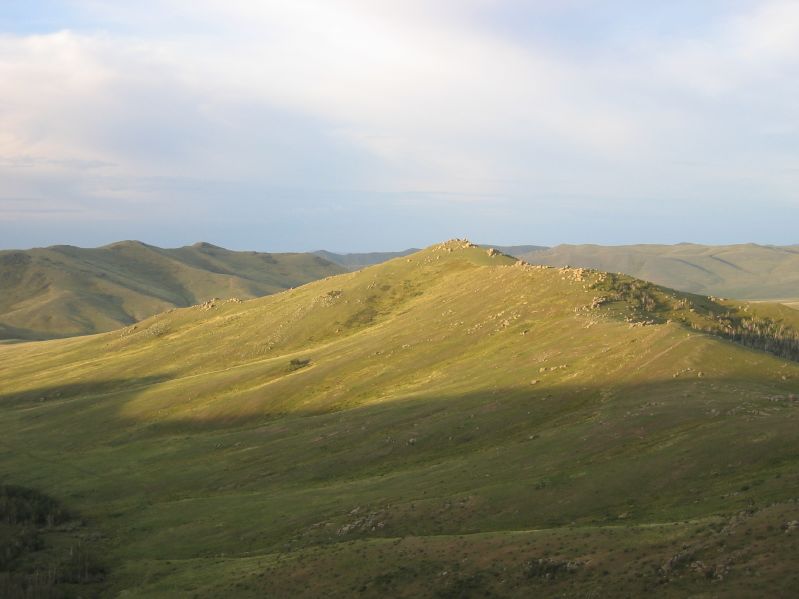 Molt Camp: Early Morning Hike