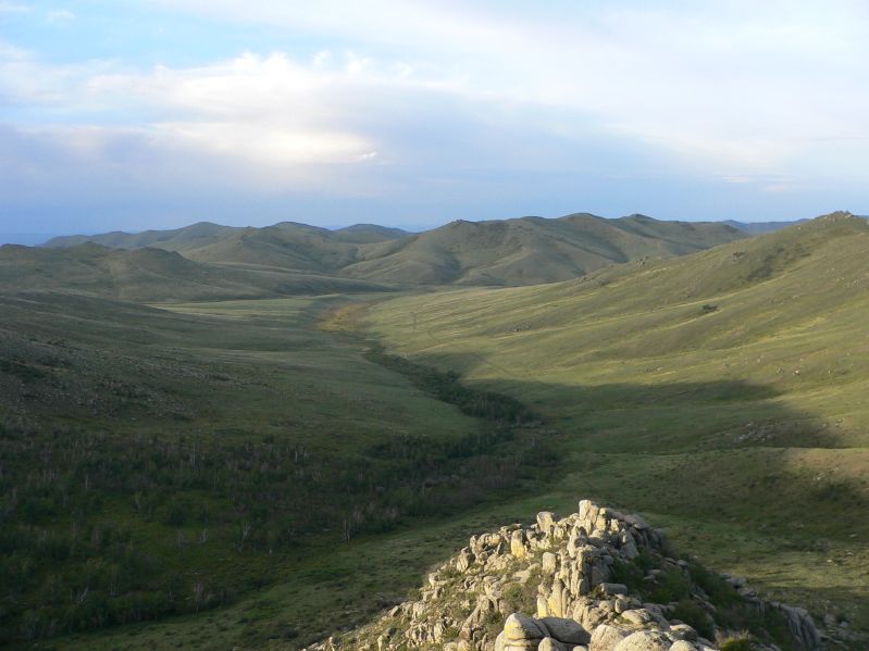 Molt Camp: Early Morning Hike