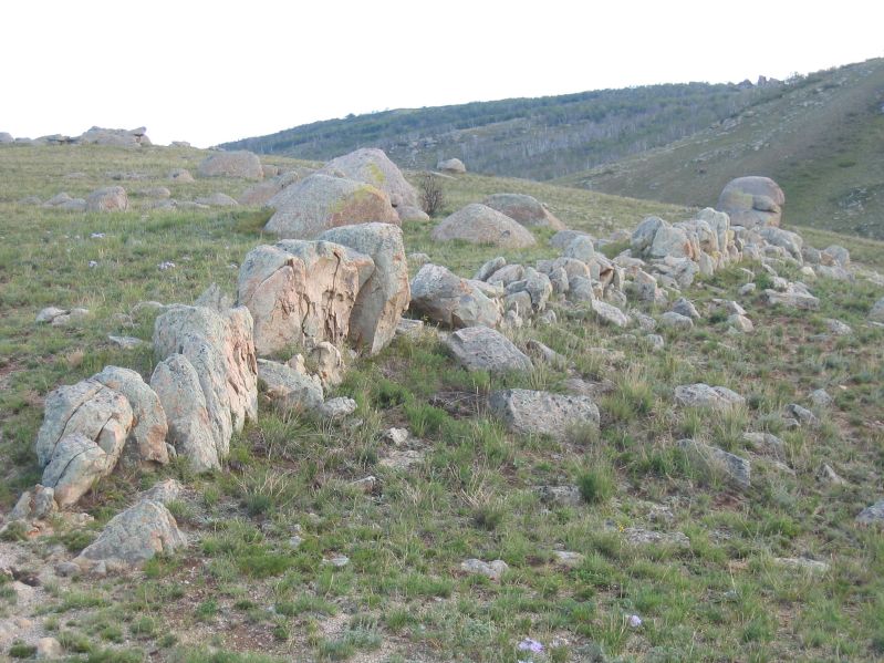 Molt Camp: Early Morning Hike