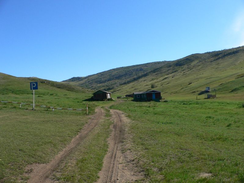 Molt Camp