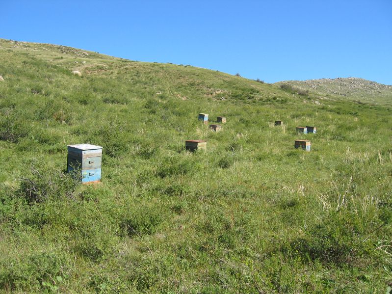 Hiking to the Tourist Camp