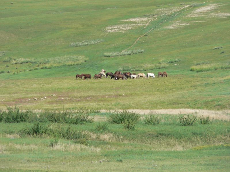 Hiking to the Tourist Camp