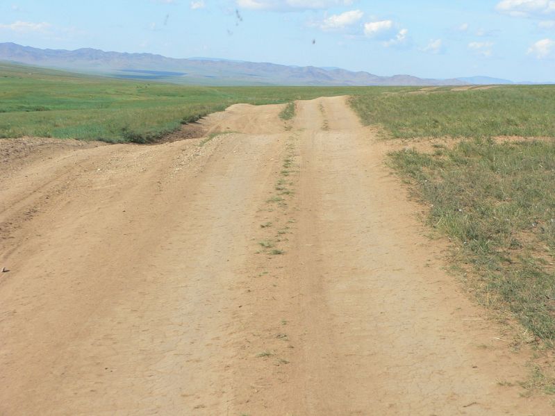 The Way Home
