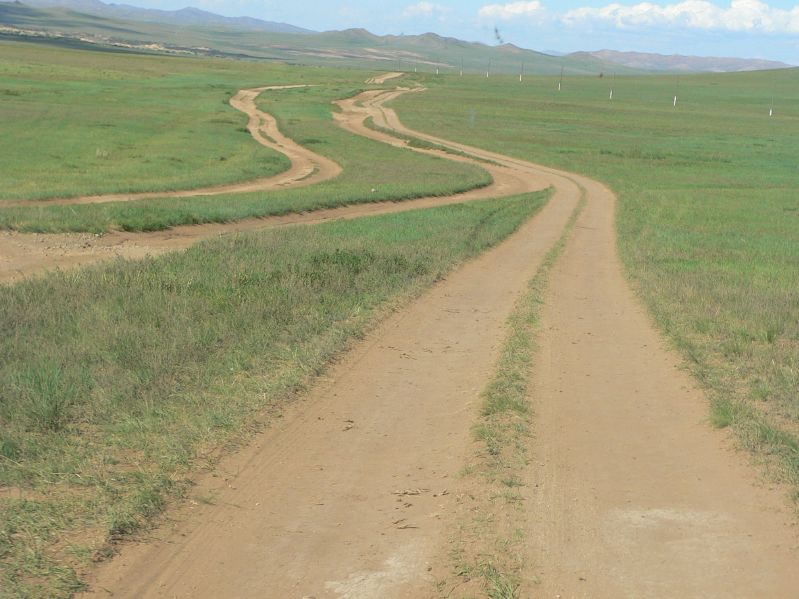 The Way Home