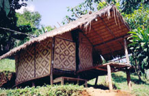 My Bamboo Hut. Click for bigger picture.