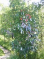 Listvjanka - Decprated bush