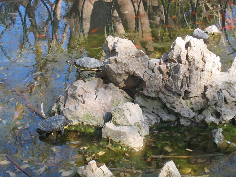 National Garden of Athens