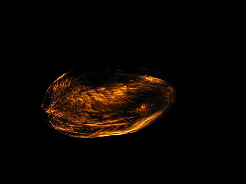 Fire show