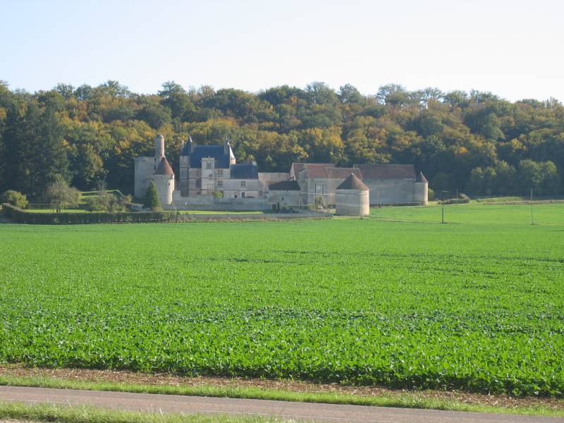 Castle