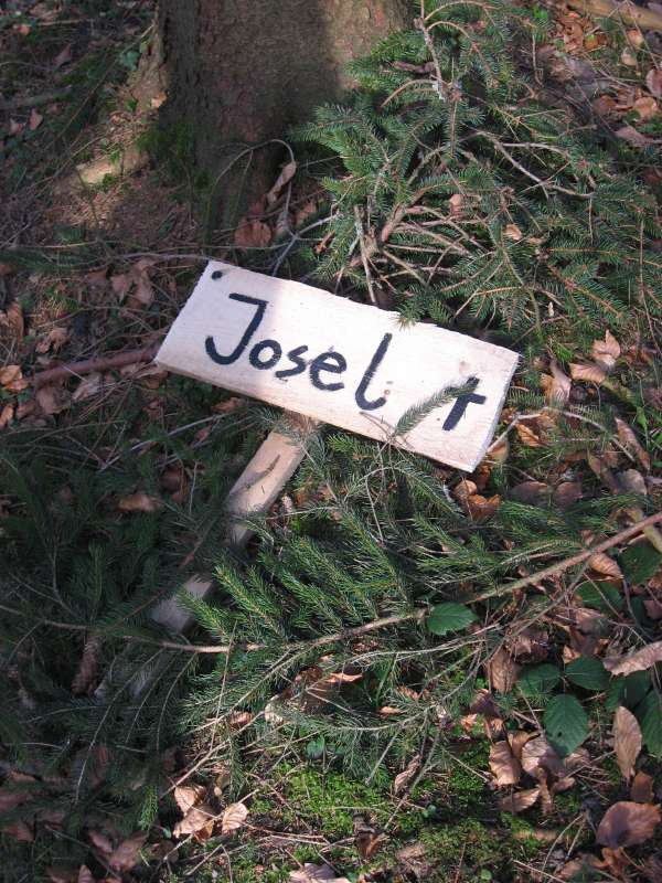 The Cemetary