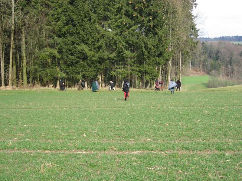The chase