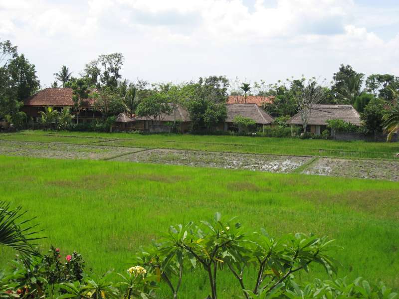 Ubud, Bali