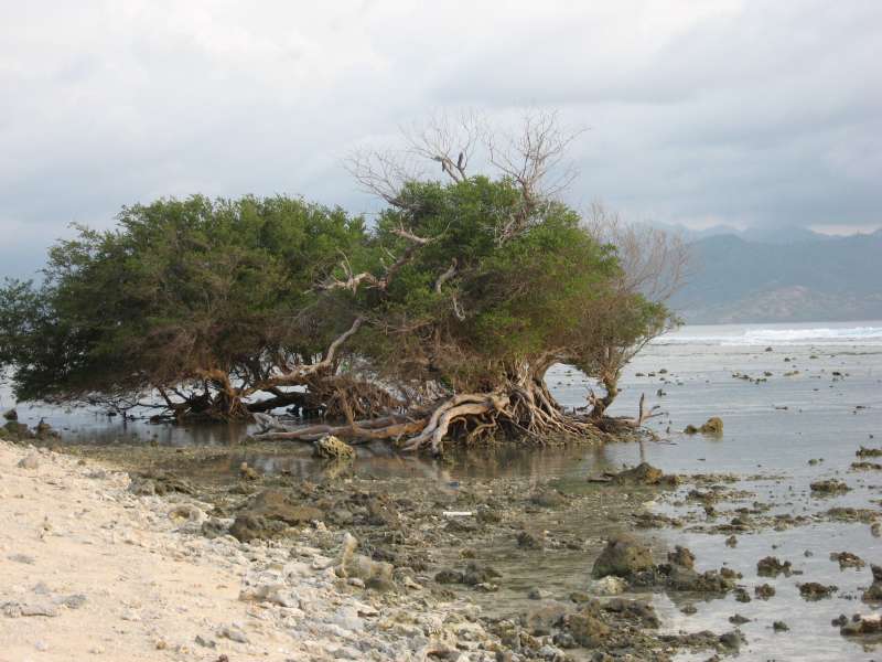 Gili Trawangan