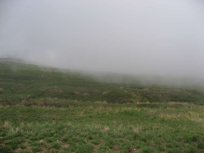 Mist