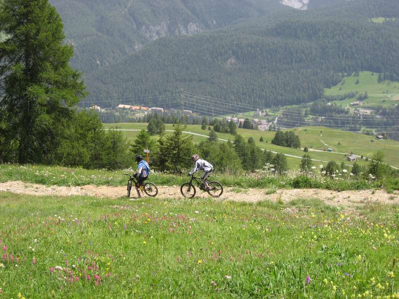 Downhill biking
