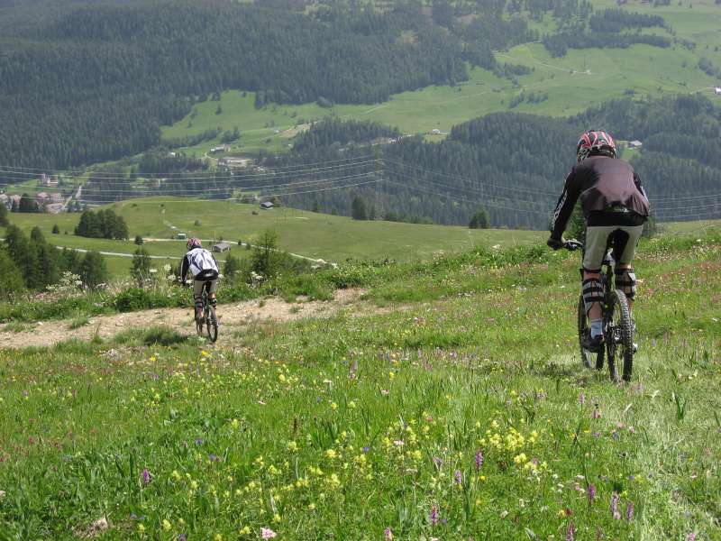 Downhill biking