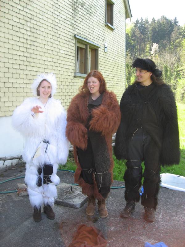 The Wolves
