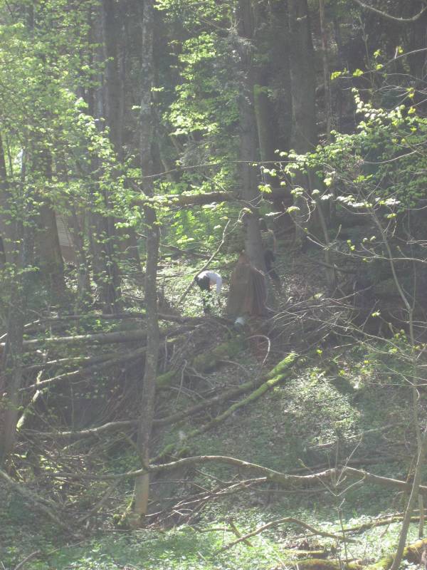 Hunting the Wolves