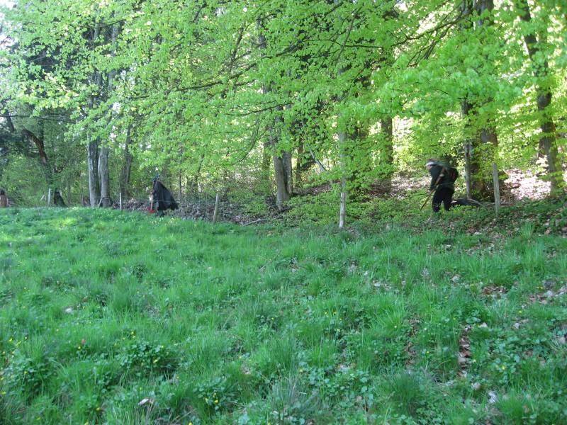 Hunting the Wolves