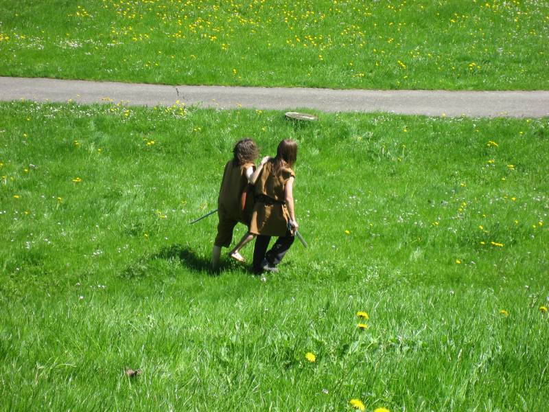 Wolves captured