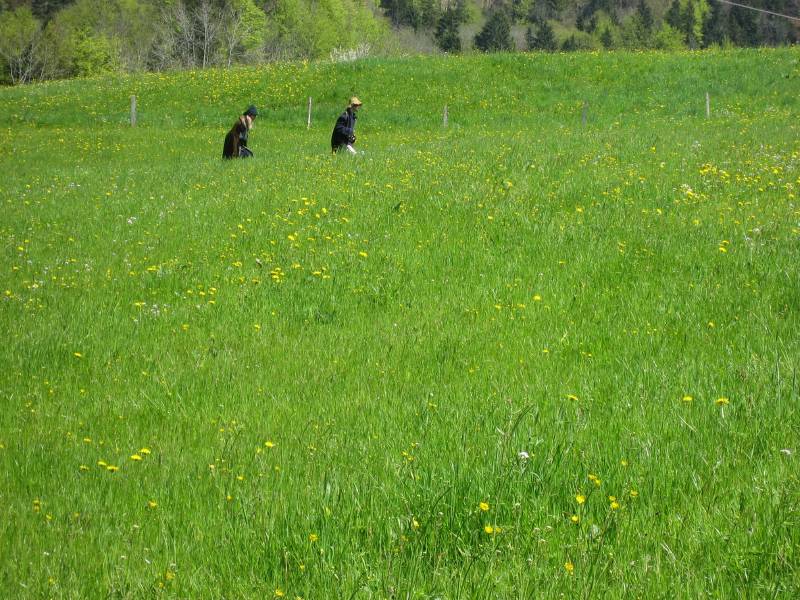 Back from a fieldtrip