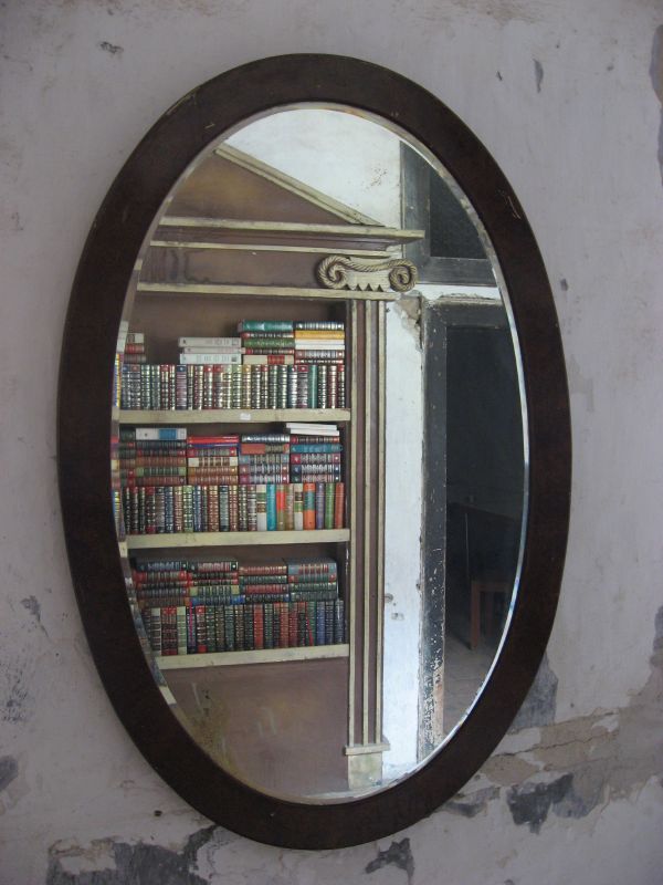 A bookcase in the Mirror