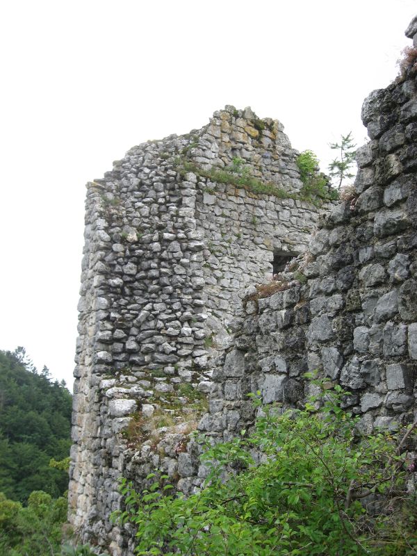 Alte Bechburg (castle ruin)