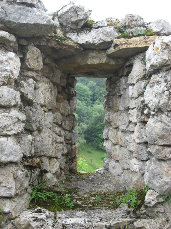 Alte Bechburg (castle ruin)