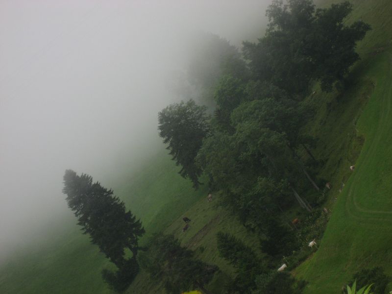 Mist moving in
