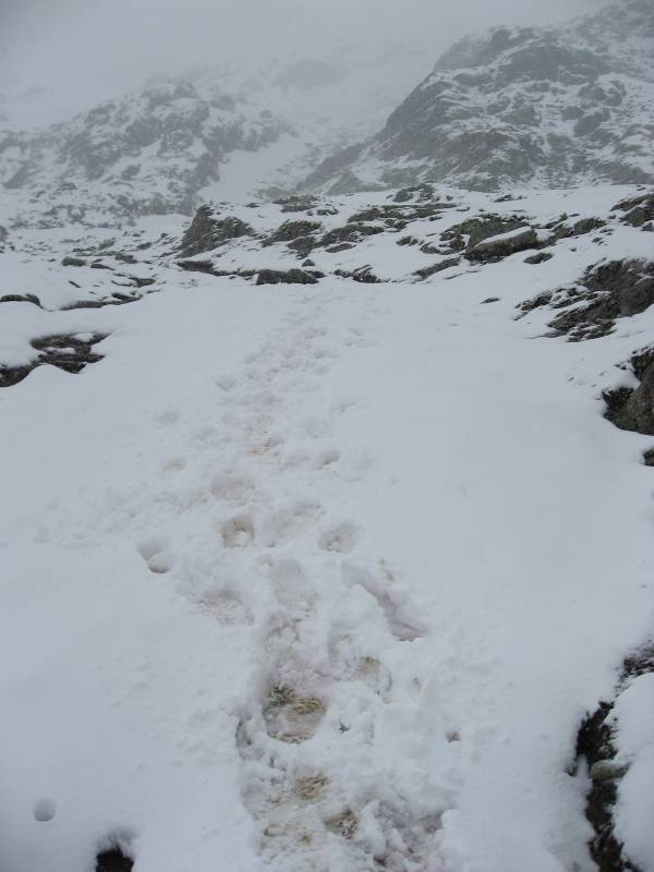 Footprints in the snow
